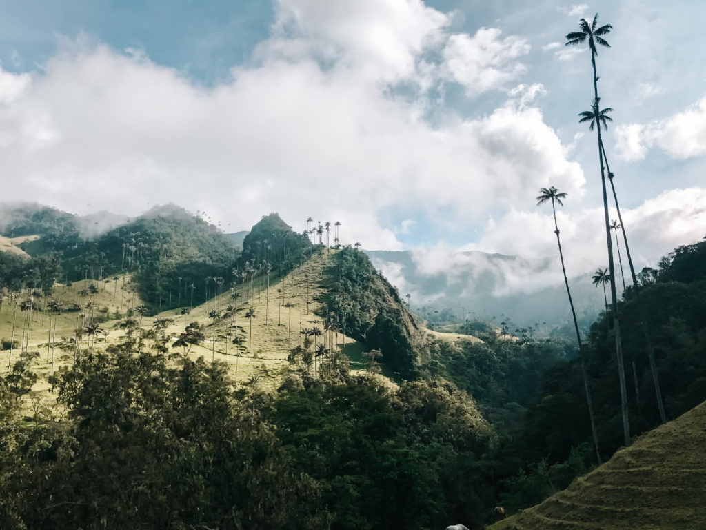 Valle de Cocora Kolumbien
