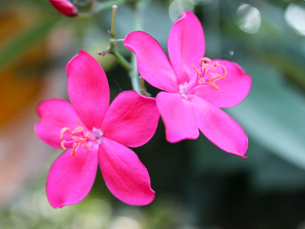 Beste Reisezeit auf Phu Quoc