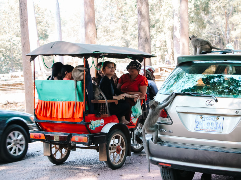 Tuk Tuk in Siem Reap